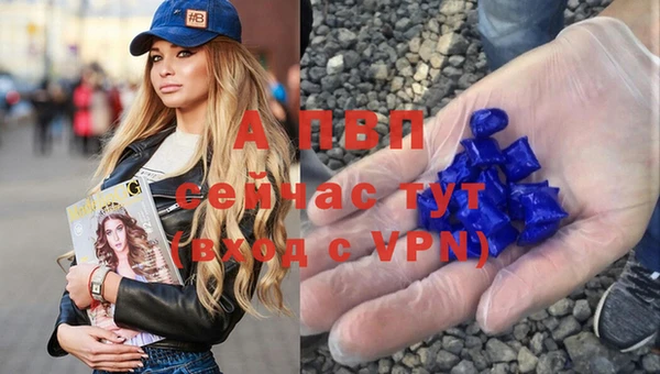 ПСИЛОЦИБИНОВЫЕ ГРИБЫ Володарск