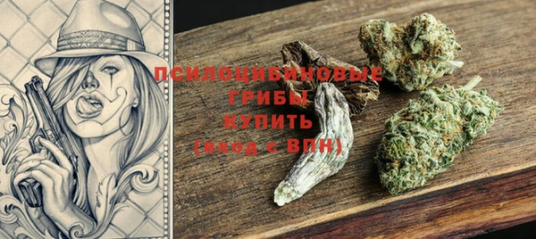 ГАЛЛЮЦИНОГЕННЫЕ ГРИБЫ Волоколамск