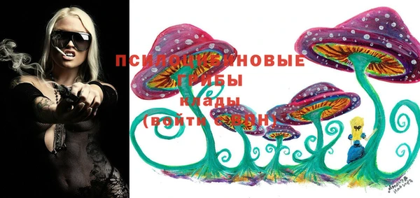 jwh Волосово